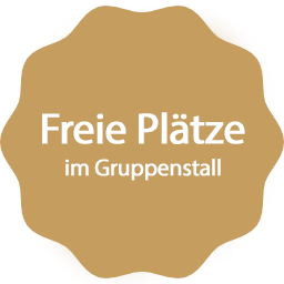Freie Plätze im Gruppentall