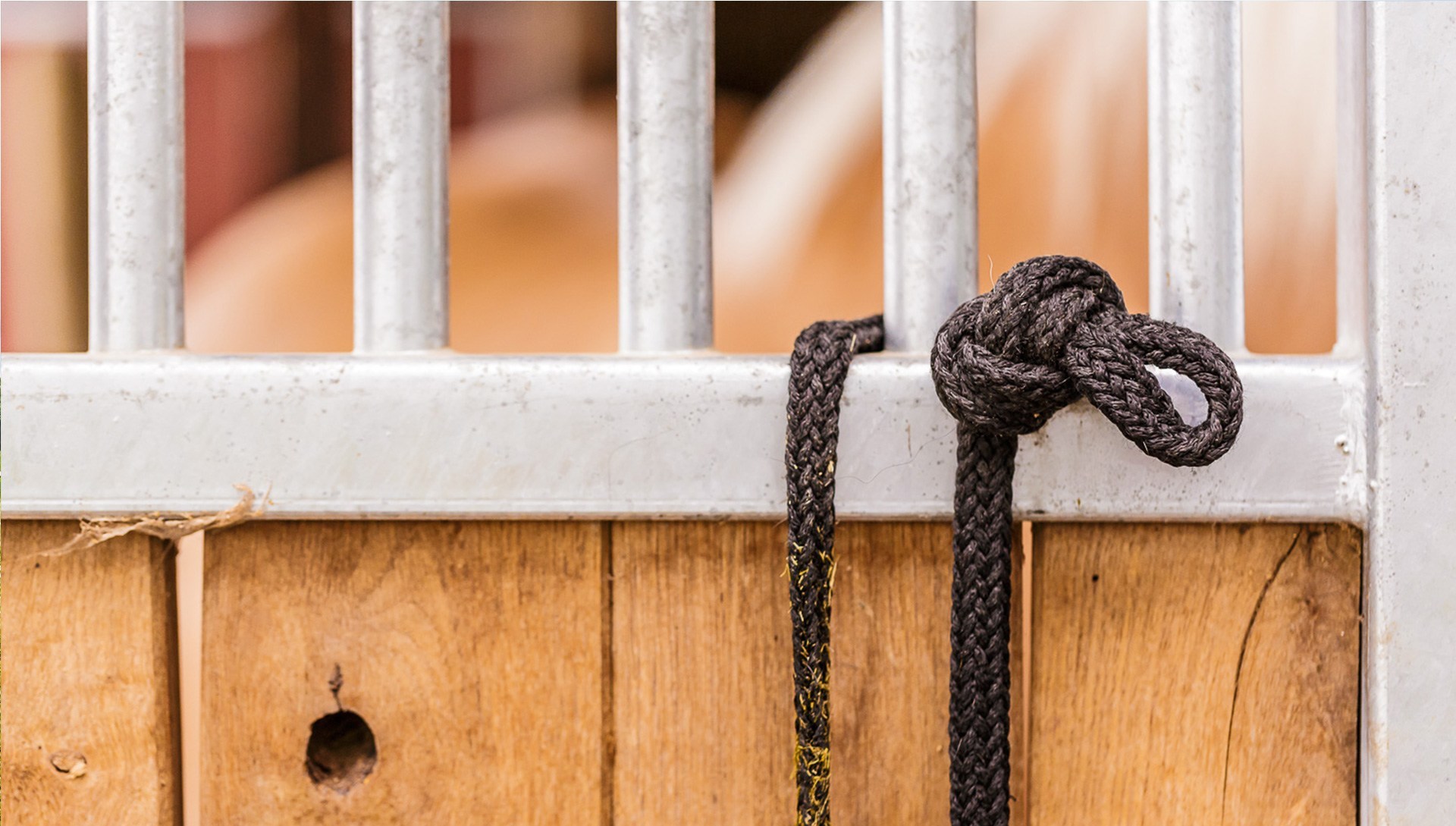 SMS direkt aus dem Stall